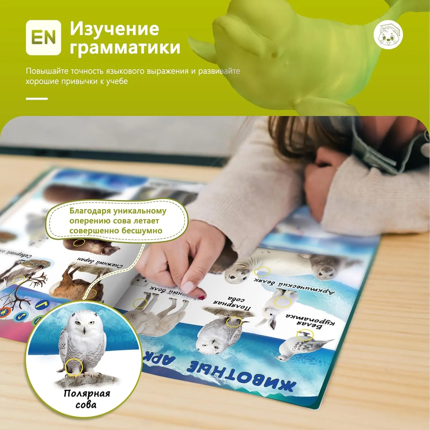 | Interactive Educational Toy | USB-C Rechargeable (Biidi) Russian Talking sleeper edifice cohere address therapeutic spinet Books for Kids 2-6 | Animal Sound Book with 600  Sounds & 171 Animal Calls 