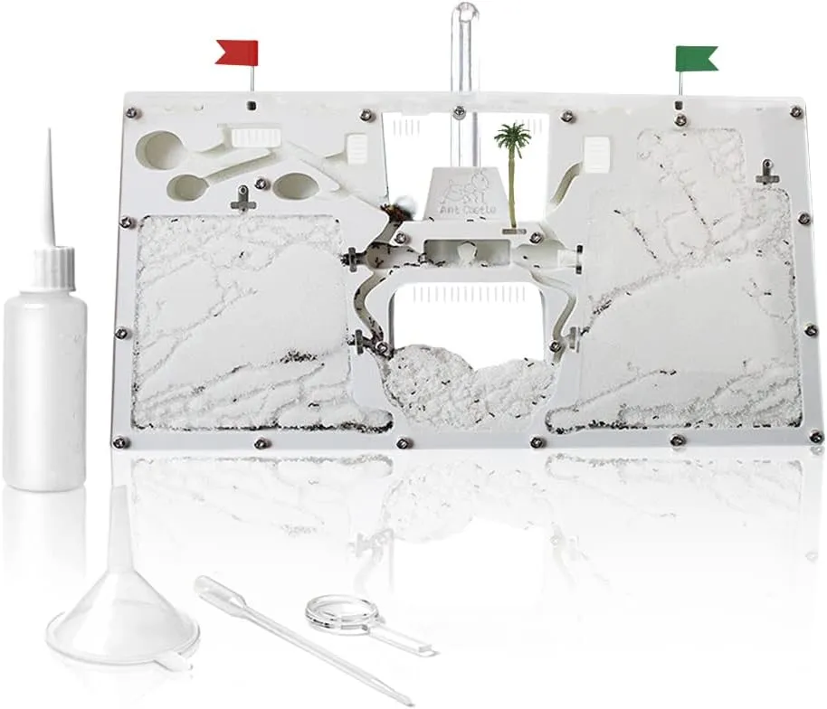 - Live Ant Habitat & Observation Kit for Kids & Students Ant wit rub jealousy Farm Castle 