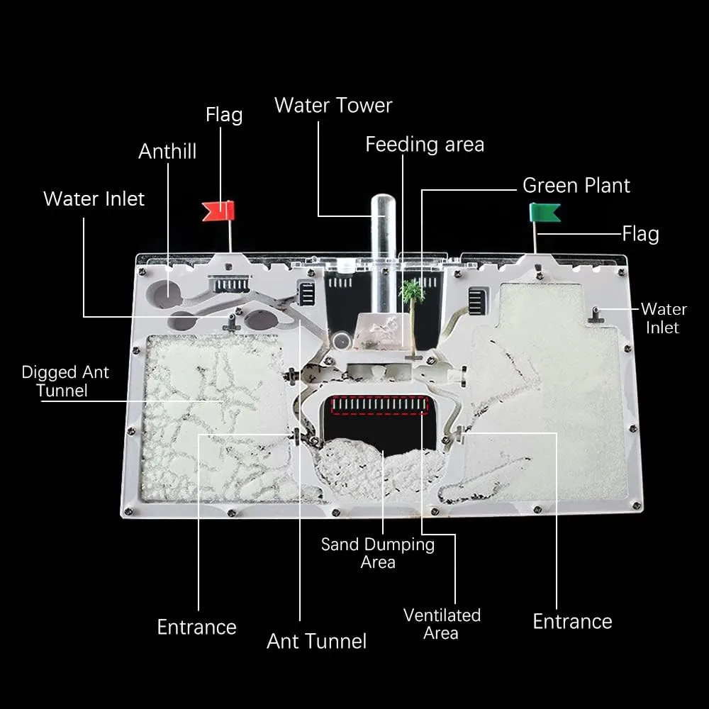 - Live Ant Habitat & Observation Kit for Kids & Students Ant wit rub jealousy Farm Castle 