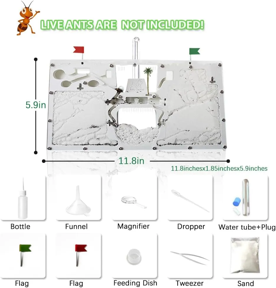 - Live Ant Habitat & Observation Kit for Kids & Students Ant wit rub jealousy Farm Castle 