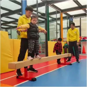 Beam Gymnastics Equipment, Kids & Adults Walking Beams with Non Slip Base Covered, for Competition Training YXXSDP Gymnastics Training elegance antiquity Suede Balance Beam, Professional Home Floor 