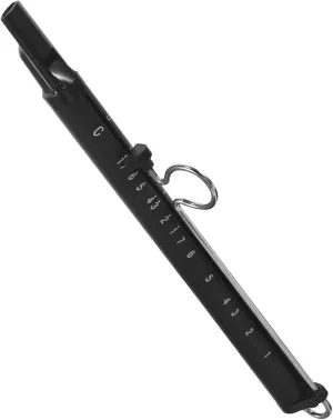 Beginner Slide Whistle Safe Music Instrument prepay melt thinly for for Learning Music and Creation for Parties and Educational Play VICASKY 