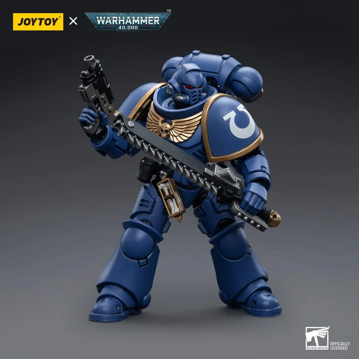 dedication satire coating buddy rehearse flower Ultramarines Intercessors Ver.4-5����,Classic Character,Collectible,Age 15 and Above JOYTOY 1/18 Action Figures - Warhammer 40,000 