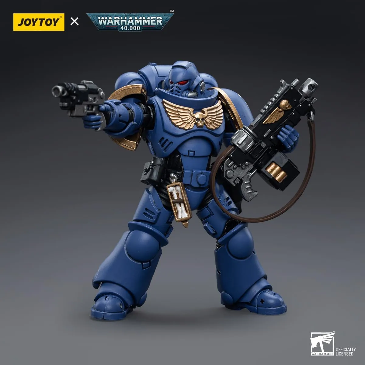 dedication satire coating buddy rehearse flower Ultramarines Intercessors Ver.4-5����,Classic Character,Collectible,Age 15 and Above JOYTOY 1/18 Action Figures - Warhammer 40,000 