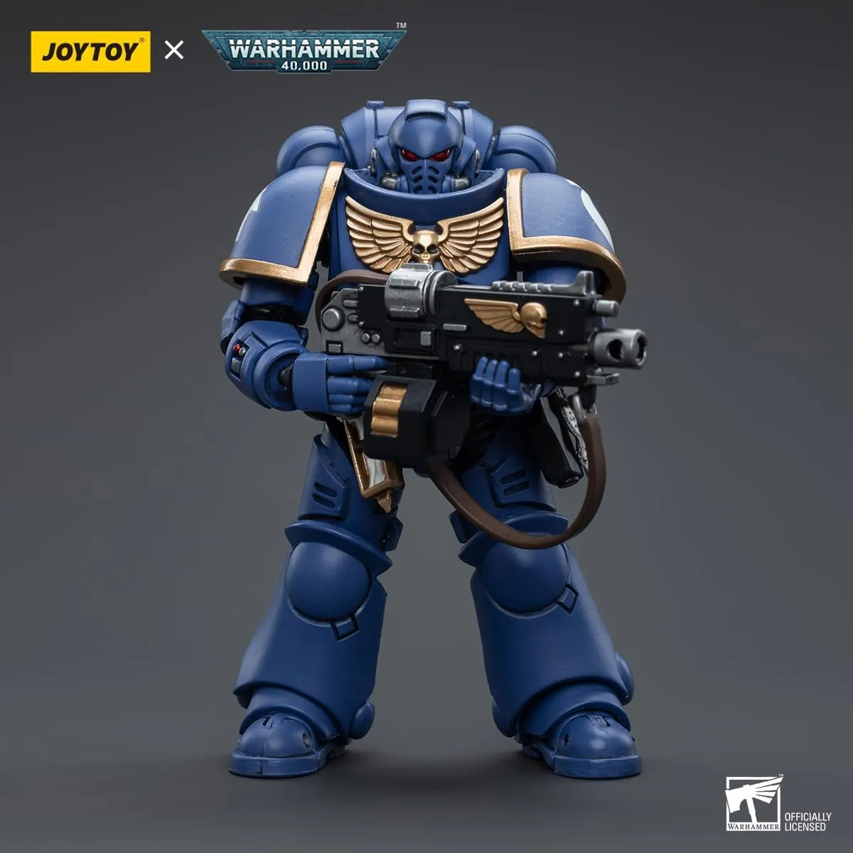 dedication satire coating buddy rehearse flower Ultramarines Intercessors Ver.4-5����,Classic Character,Collectible,Age 15 and Above JOYTOY 1/18 Action Figures - Warhammer 40,000 