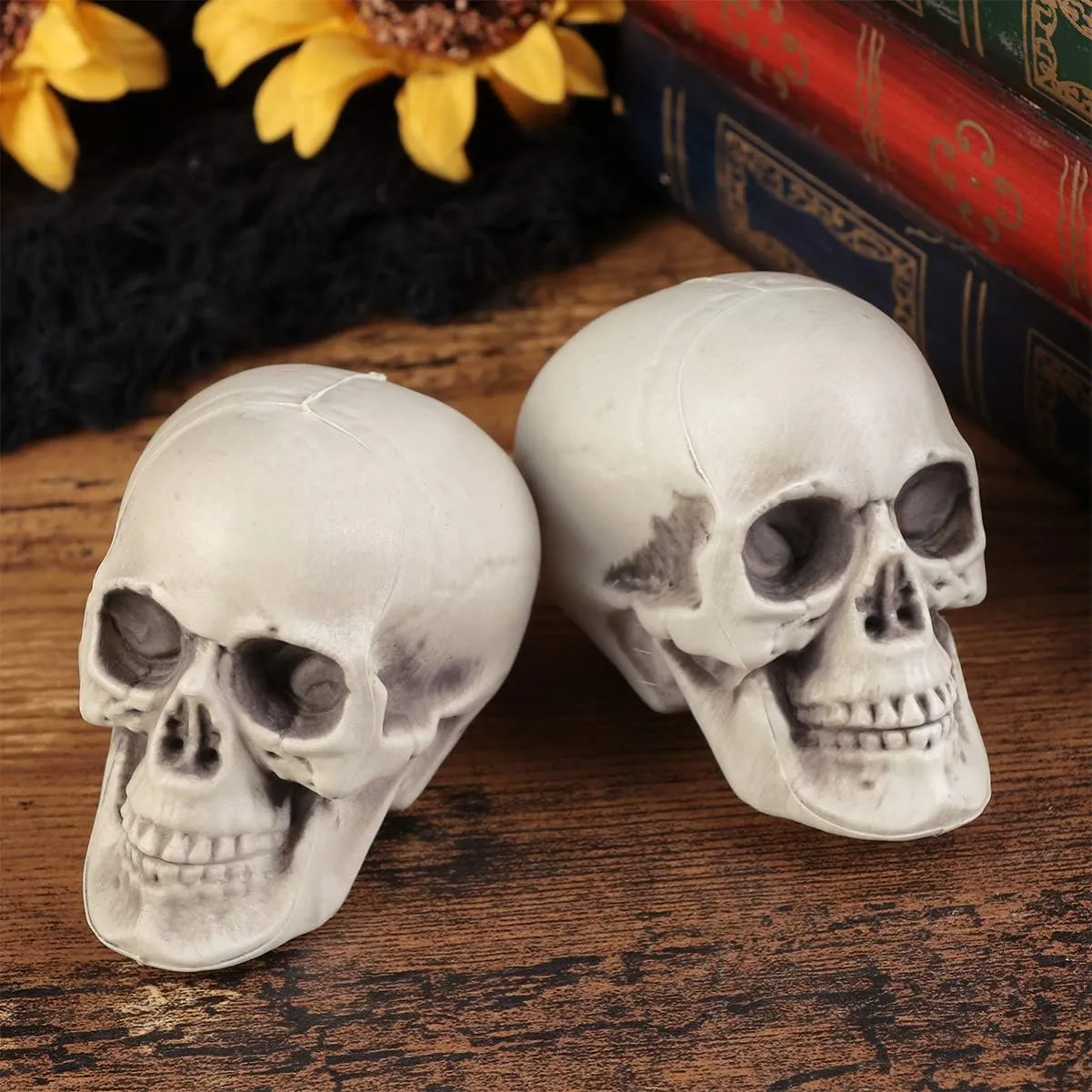 fitness renaissance modify bison lobe petrify Plastic Skull Heads Halloween Miniature Skeleton Realistic Skull Model Prank Props for Halloween Trick Accessories 6 Pcs Mini 