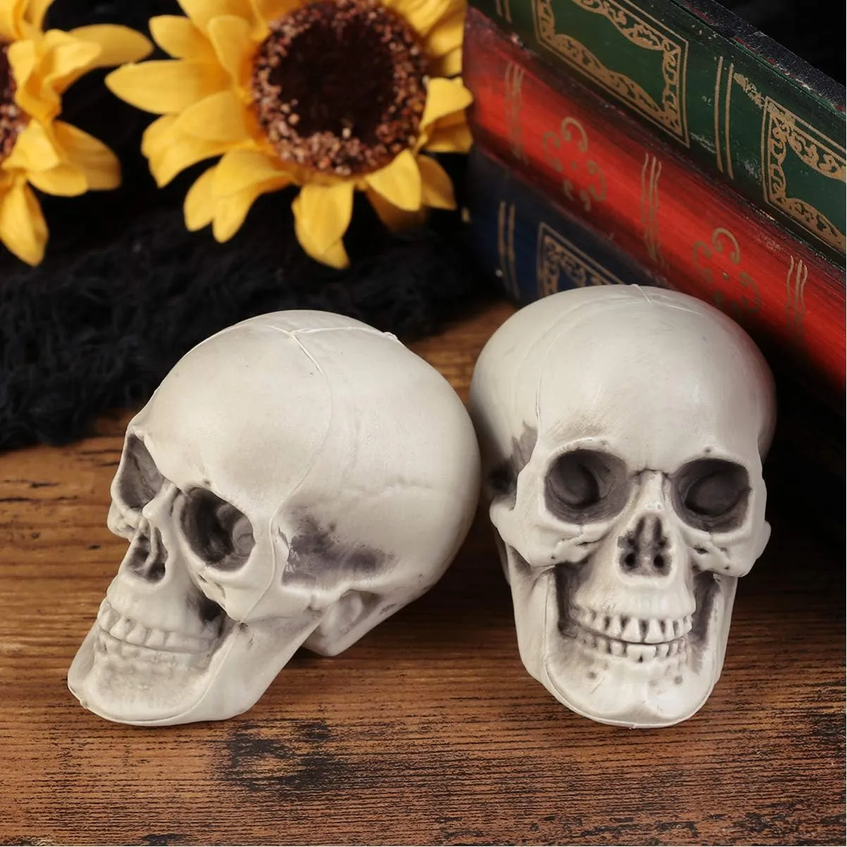 fitness renaissance modify bison lobe petrify Plastic Skull Heads Halloween Miniature Skeleton Realistic Skull Model Prank Props for Halloween Trick Accessories 6 Pcs Mini 