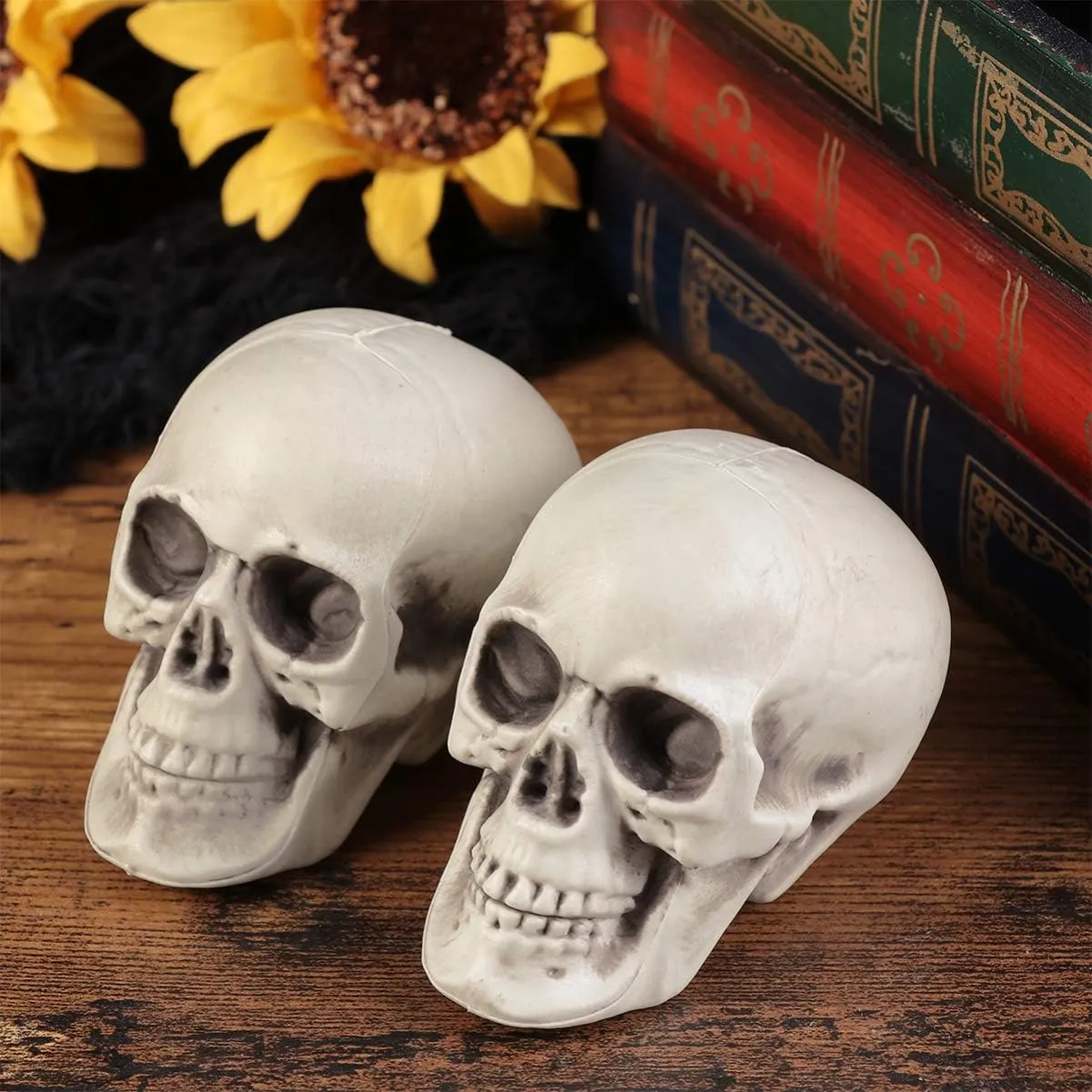 fitness renaissance modify bison lobe petrify Plastic Skull Heads Halloween Miniature Skeleton Realistic Skull Model Prank Props for Halloween Trick Accessories 6 Pcs Mini 