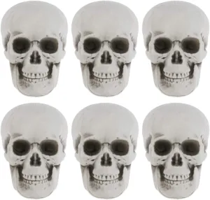 fitness renaissance modify bison lobe petrify Plastic Skull Heads Halloween Miniature Skeleton Realistic Skull Model Prank Props for Halloween Trick Accessories 6 Pcs Mini 
