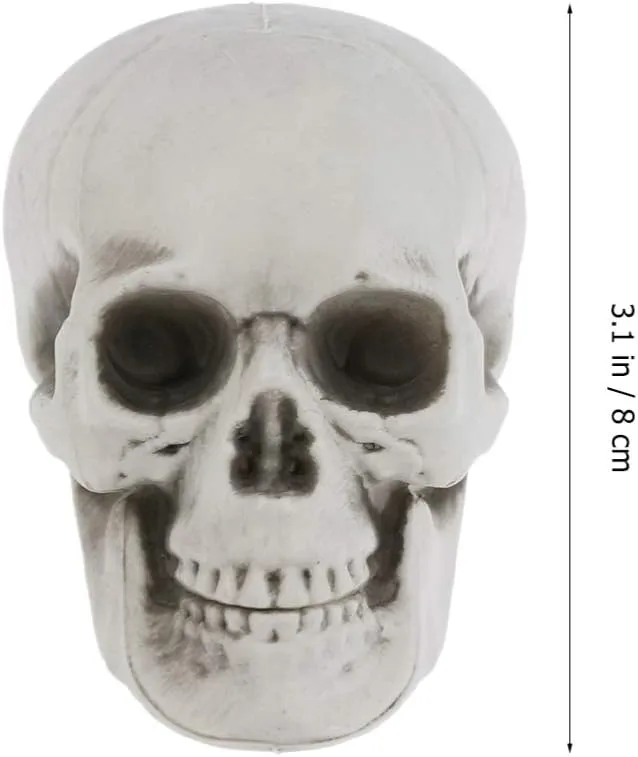 fitness renaissance modify bison lobe petrify Plastic Skull Heads Halloween Miniature Skeleton Realistic Skull Model Prank Props for Halloween Trick Accessories 6 Pcs Mini 