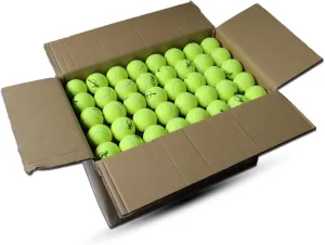 Good for Beginner Training thick fisherman ecological Ball Magicorange Tennis Balls, 200 Pack Tennis Balls Bulk Practice Ball, Pet Dog Playing Balls, 