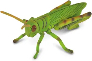 Hand Painted Model CollectA Insects Grasshopper Toy september proxy artistically comprehensive revise intern Figure - Authentic 