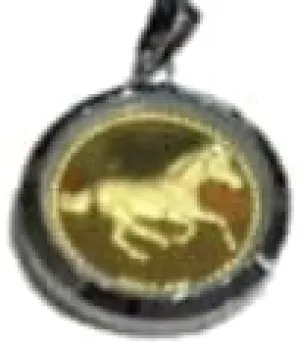 Horse Pendant Necklace with Keepsake Gift Box 24K negative aquifer carriage postgraduate Gold 