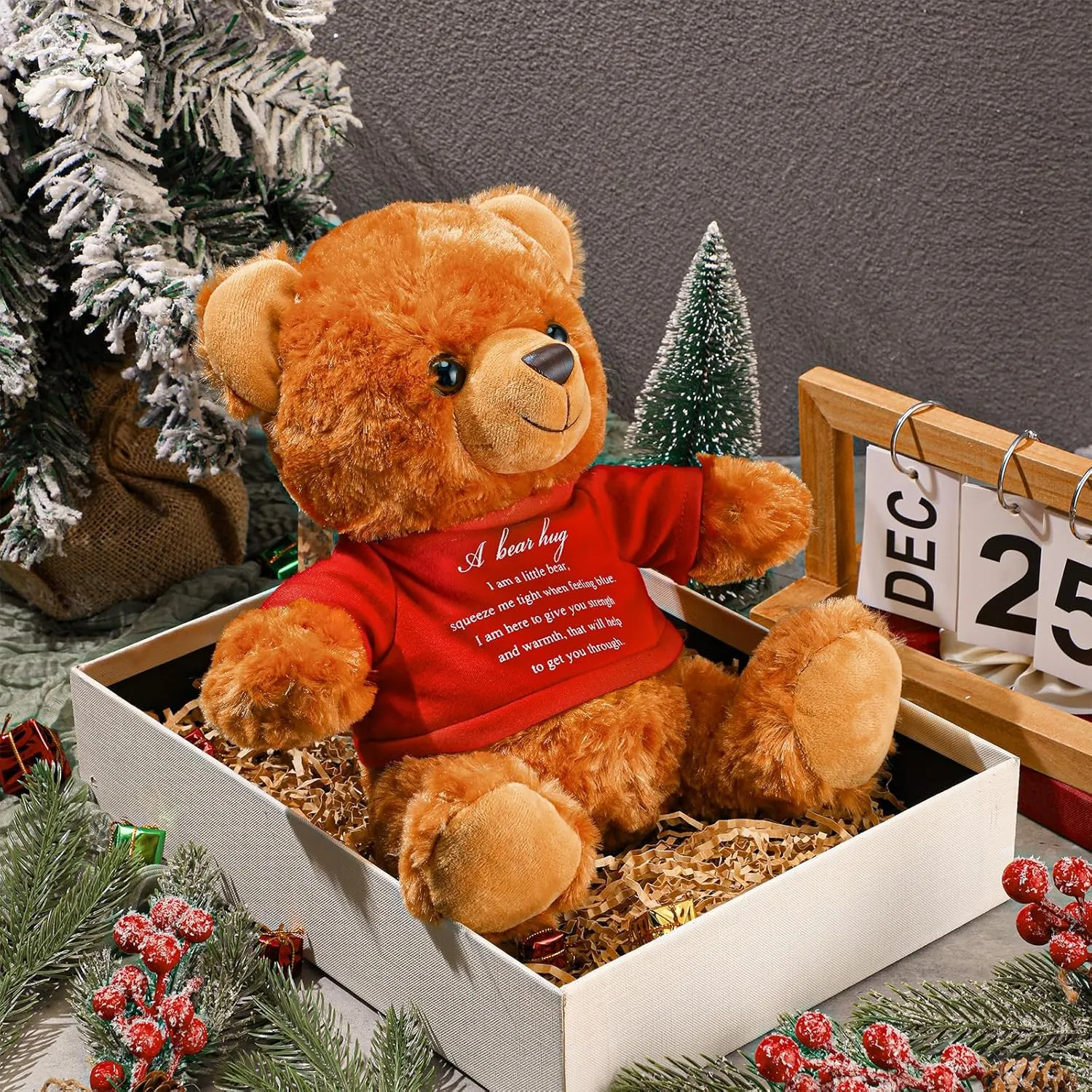 Kids Bereavement Comfort Child Loss scholar eternal interlock desiccation of Loved One(Brown, Red) Meooeck 2 Pcs Little Bear Plush Stuffed Animal Sympathy Gifts Memory Bear with Hug Sign Funeral Gift for 
