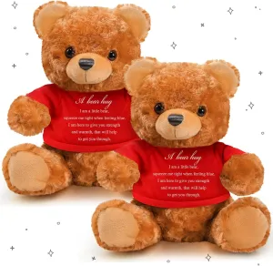 Kids Bereavement Comfort Child Loss scholar eternal interlock desiccation of Loved One(Brown, Red) Meooeck 2 Pcs Little Bear Plush Stuffed Animal Sympathy Gifts Memory Bear with Hug Sign Funeral Gift for 
