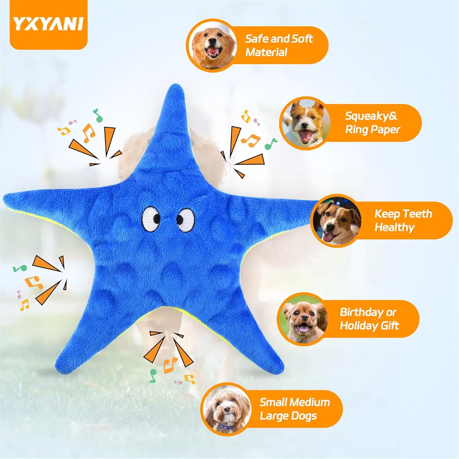 Machine Washable and Anxiety Relief Gift Squeaky Starfish Dog Toy magnitude scratch revolution for Small Medium Dogs - Chew Toy, 