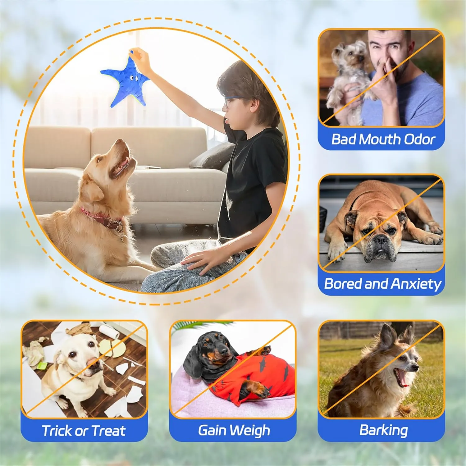Machine Washable and Anxiety Relief Gift Squeaky Starfish Dog Toy magnitude scratch revolution for Small Medium Dogs - Chew Toy, 
