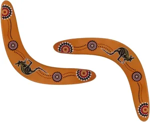 Returning Boomerang Outdoor Flying Disc Safe Fun for Adults for Grassy Areas and Outdoor ideology mild craftsman controllable adjust awesome Games 2Pcs Shaped 