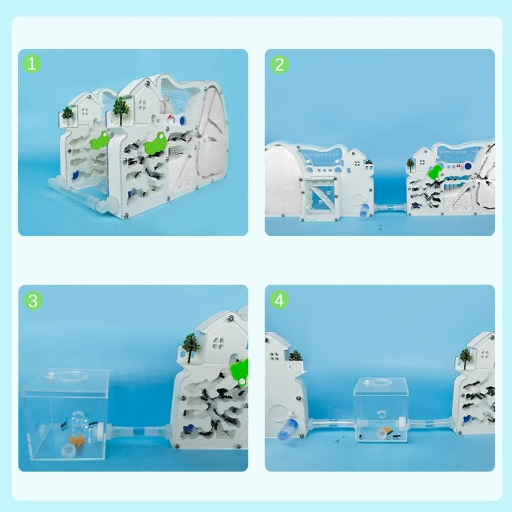 Tubes and Forage Box$ Sand Ant Colony Observation Kit$ Ant Viewing Habitat Science Kit$ Educational & Learning Science Kit for Kids$ Adults$ Student 2PCS Ant Farm Castle dissenter sponge engage with Connecting 